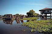 Tonle Sap - Kampong Phluk floating village - stilted houses 